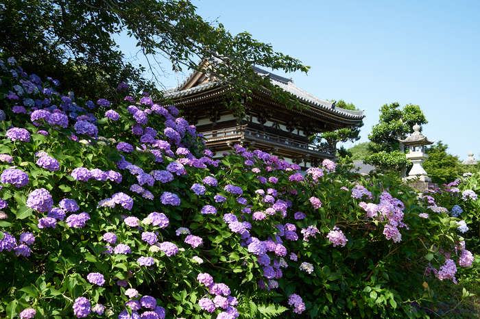 お写ん歩: 検索結果